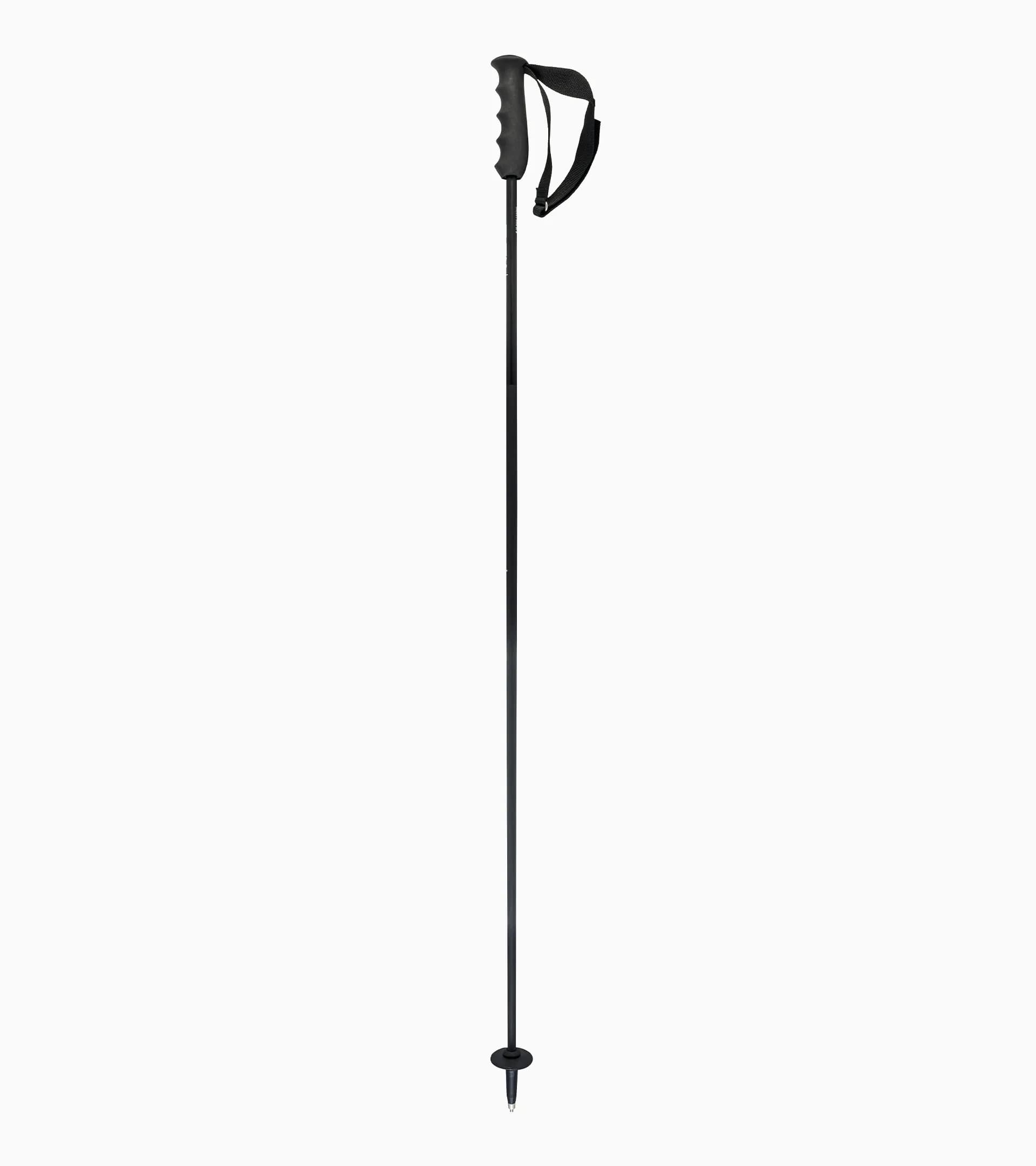 PORSCHE HEAD Carbon Ski Poles 1