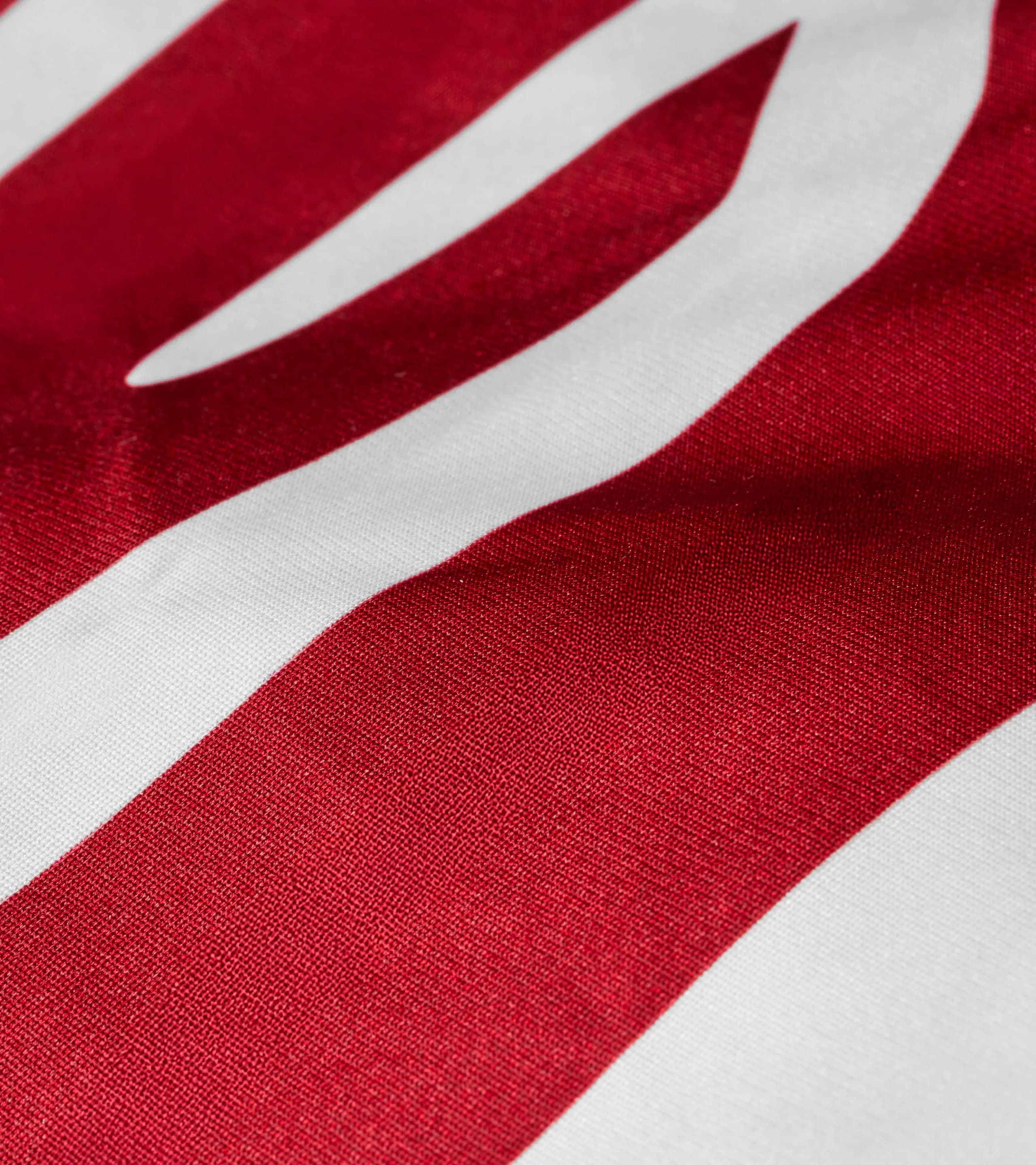 Telo copriauto per interni GT3 Design - 911 GT3 2