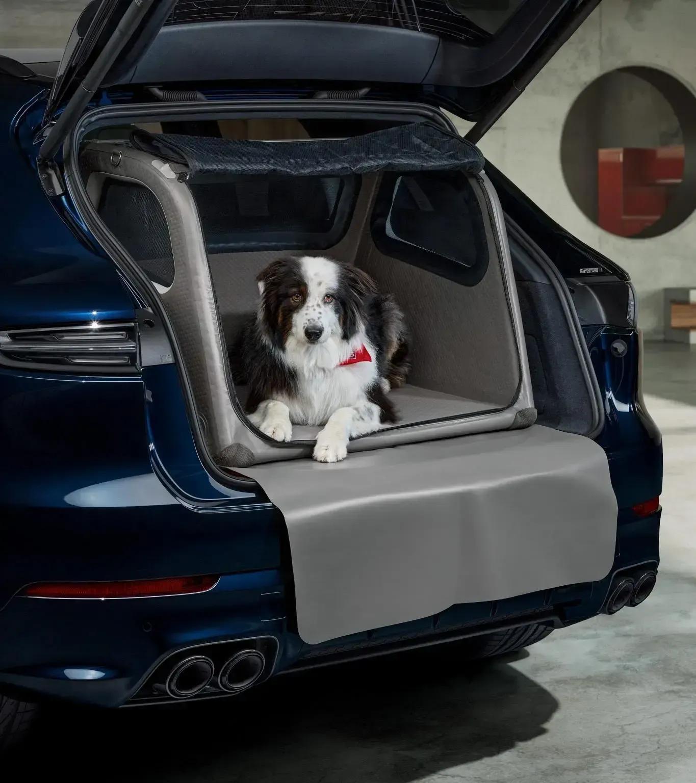 Luggage compartment box for dogs