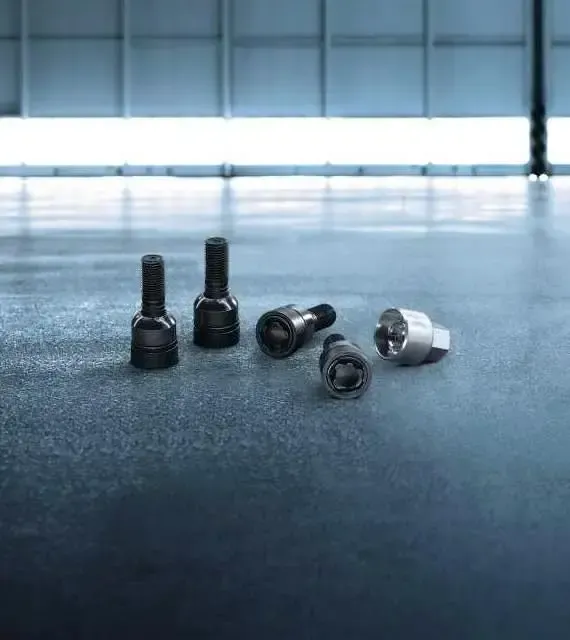 Tornillos de rueda negros con protección antirrobo - Cayenne (E2 & E2 II) 1