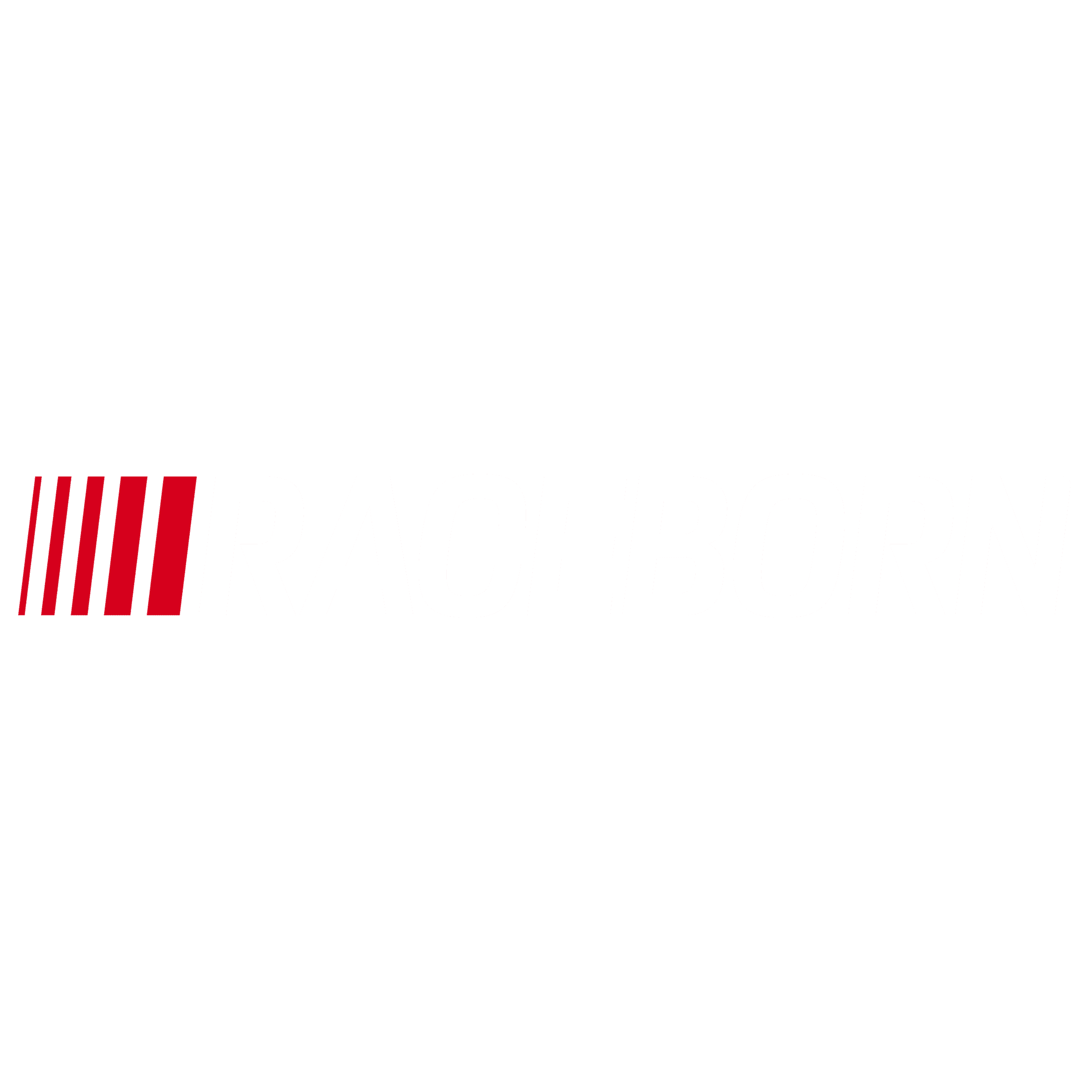 Logotipo de RACEBORN con franjas rojas de carreras sobre fondo negro, texto blanco en negrita.