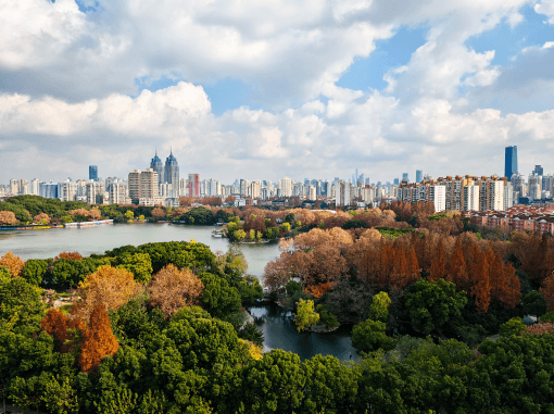Photo taken with the Porsche Design HONOR Magic7 RSR shows Central Park in New York in a slightly autumnal mood