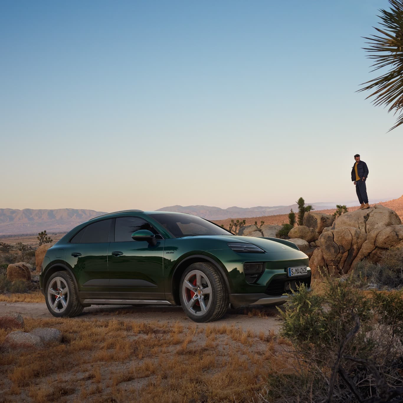 Darkgrreen Porsche Macan standing in the nature