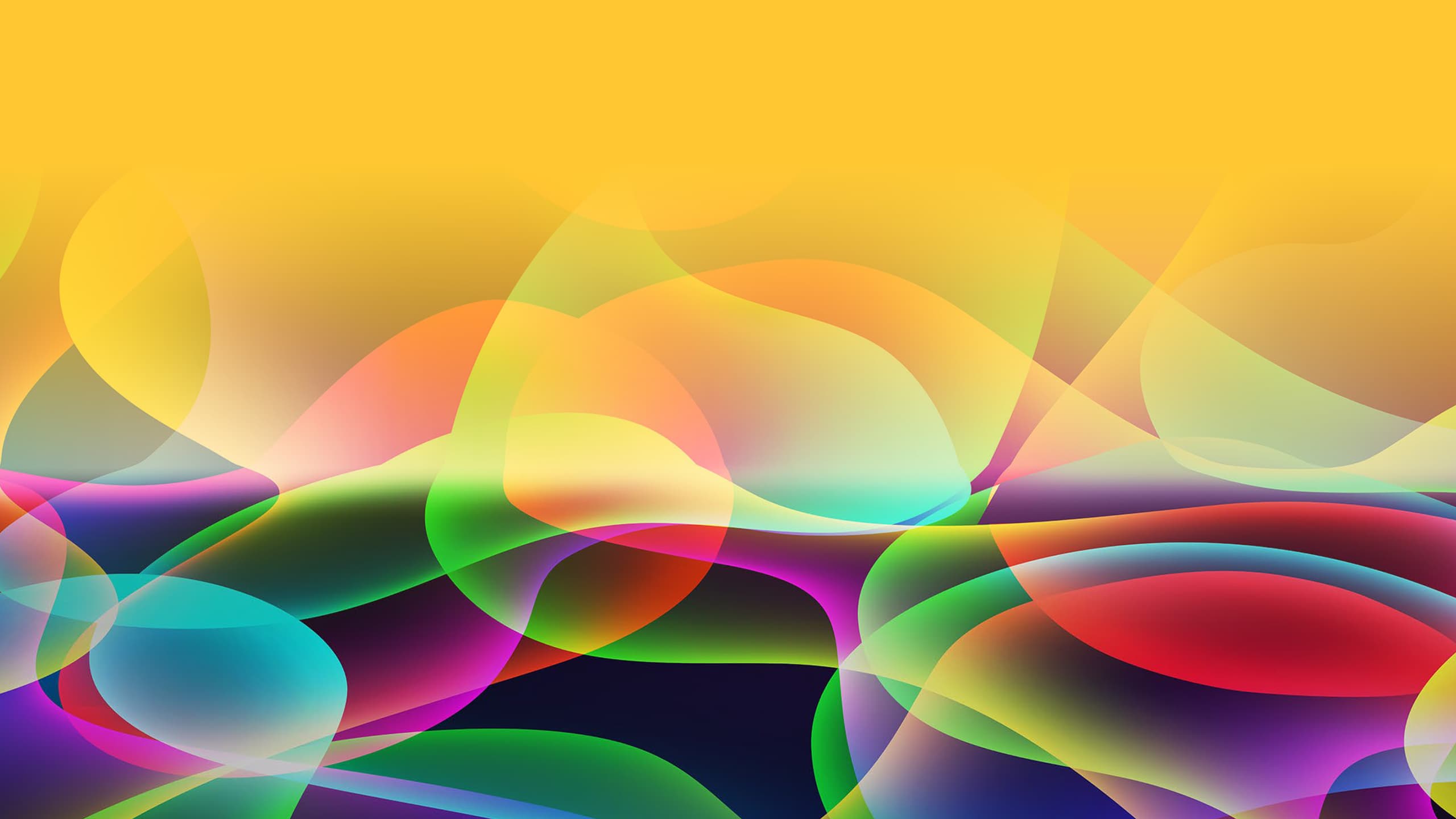 A colorful deisgn with multicolored circles
