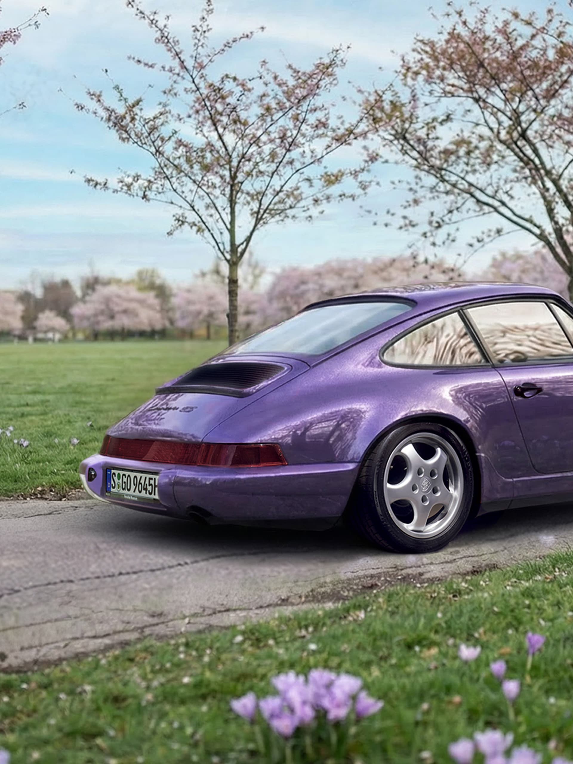 Porsche viola parcheggiata su un sentiero, circondata da alberi di ciliegio in fiore e erba verde sotto un cielo azzurro.